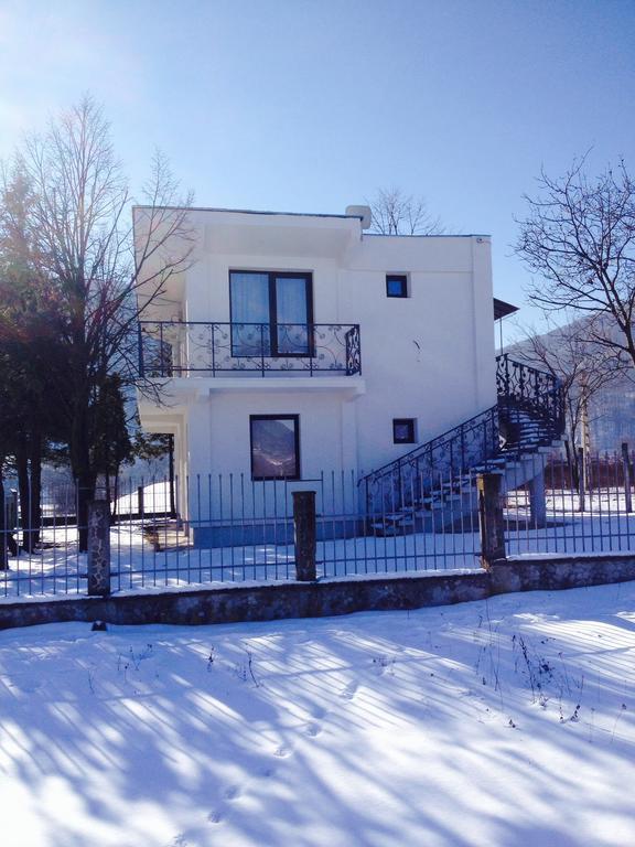 Vila Blanca Alexandru cel Bun الغرفة الصورة